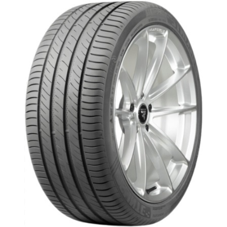 Pneus Delinte DS 2 XL 205/50 R17 93W